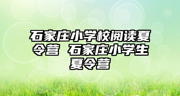 石家莊小學校閱讀夏令營 石家莊小學生夏令營