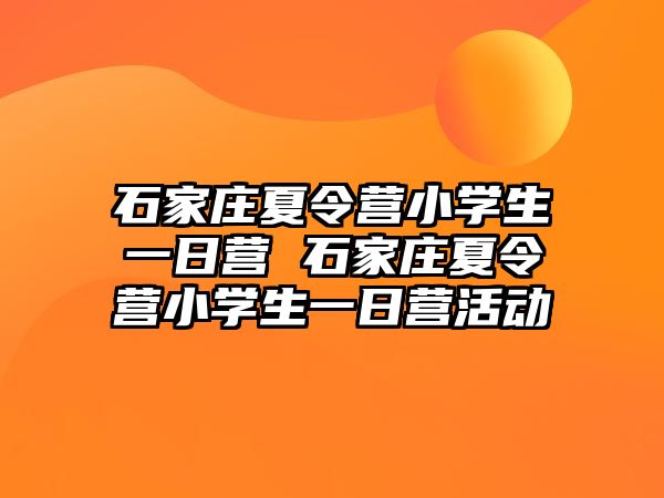 石家莊夏令營小學生一日營 石家莊夏令營小學生一日營活動