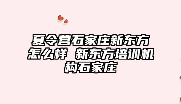 夏令營石家莊新東方怎么樣 新東方培訓機構石家莊