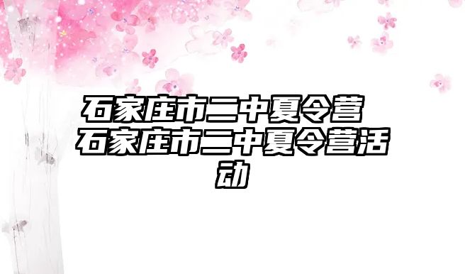 石家莊市二中夏令營 石家莊市二中夏令營活動