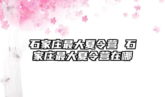 石家莊最大夏令營 石家莊最大夏令營在哪