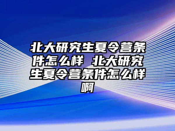 北大研究生夏令營條件怎么樣 北大研究生夏令營條件怎么樣啊