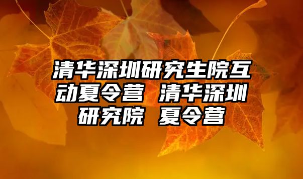 清華深圳研究生院互動夏令營 清華深圳研究院 夏令營