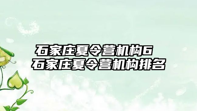 石家莊夏令營機構6 石家莊夏令營機構排名