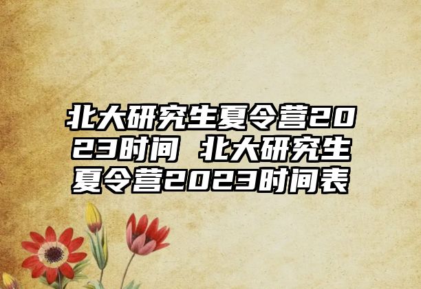 北大研究生夏令營2023時間 北大研究生夏令營2023時間表