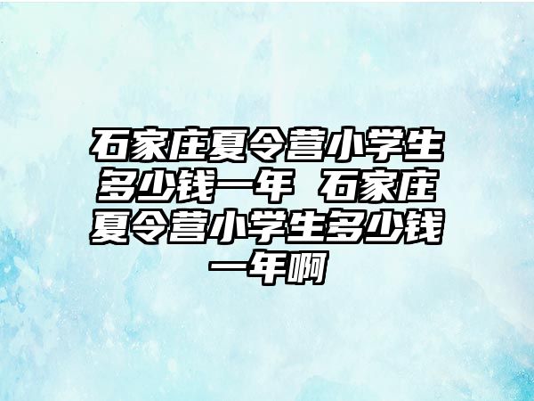 石家莊夏令營小學生多少錢一年 石家莊夏令營小學生多少錢一年啊