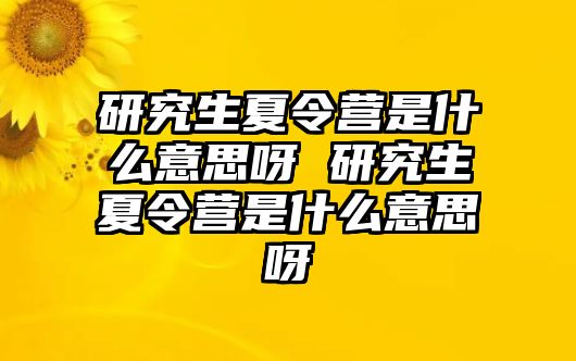 研究生夏令營是什么意思呀 研究生夏令營是什么意思呀