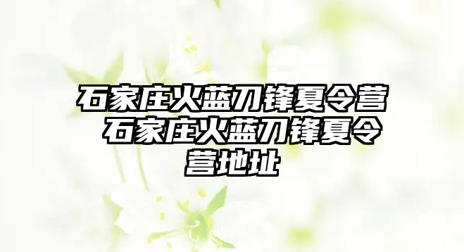 石家莊火藍刀鋒夏令營 石家莊火藍刀鋒夏令營地址