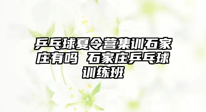 乒乓球夏令營集訓石家莊有嗎 石家莊乒乓球訓練班