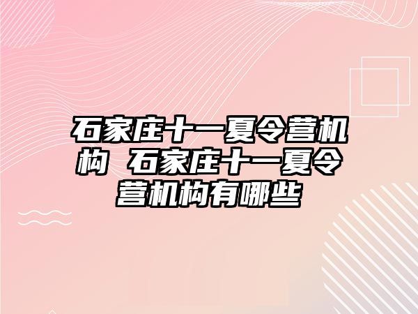 石家莊十一夏令營機構 石家莊十一夏令營機構有哪些