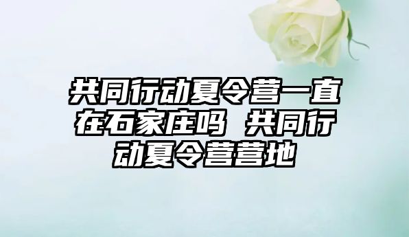 共同行動夏令營一直在石家莊嗎 共同行動夏令營營地