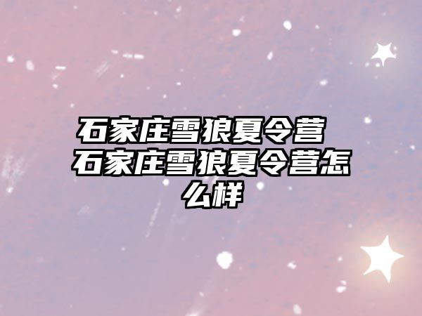 石家莊雪狼夏令營 石家莊雪狼夏令營怎么樣