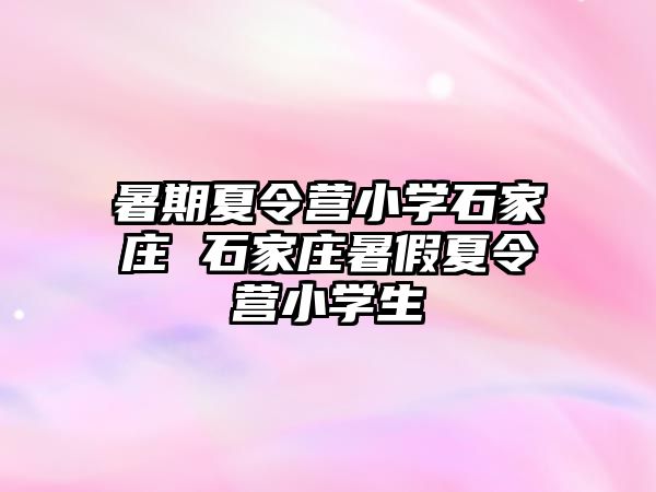 暑期夏令營小學石家莊 石家莊暑假夏令營小學生