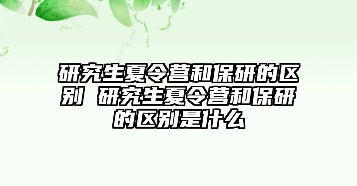 研究生夏令營和保研的區別 研究生夏令營和保研的區別是什么