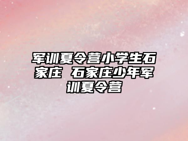 軍訓夏令營小學生石家莊 石家莊少年軍訓夏令營