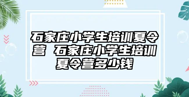 石家莊小學生培訓夏令營 石家莊小學生培訓夏令營多少錢