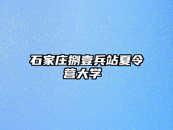 石家莊捌壹兵站夏令營(yíng)大學(xué) 