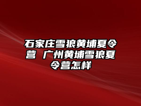 石家莊雪狼黃埔夏令營(yíng) 廣州黃埔雪狼夏令營(yíng)怎樣