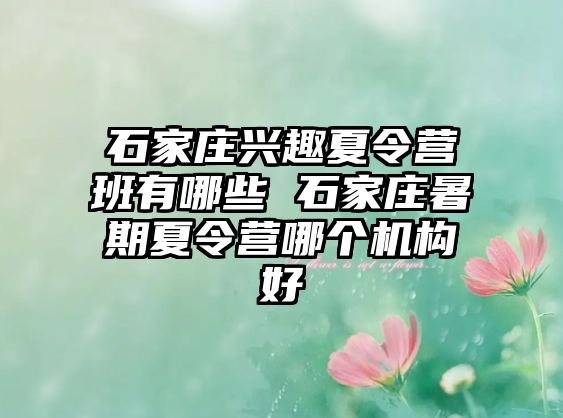石家莊興趣夏令營班有哪些 石家莊暑期夏令營哪個機構好