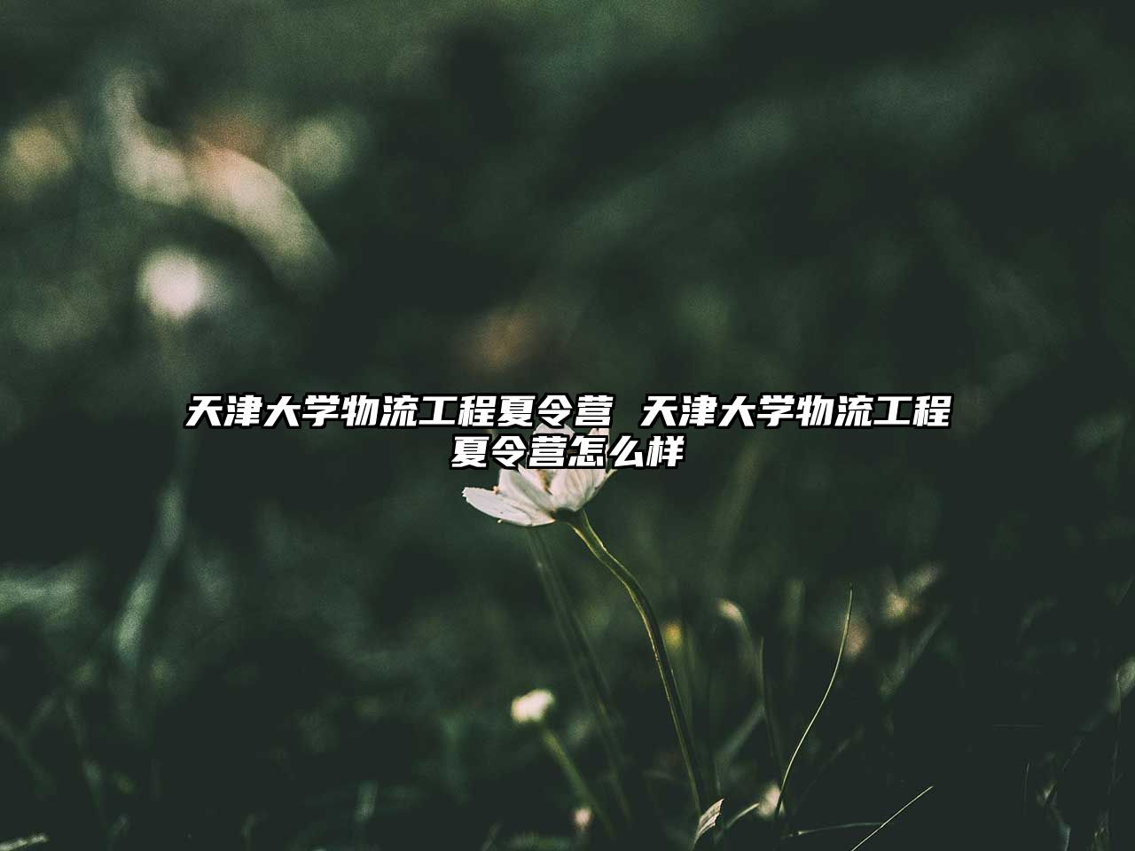 天津大學物流工程夏令營 天津大學物流工程夏令營怎么樣