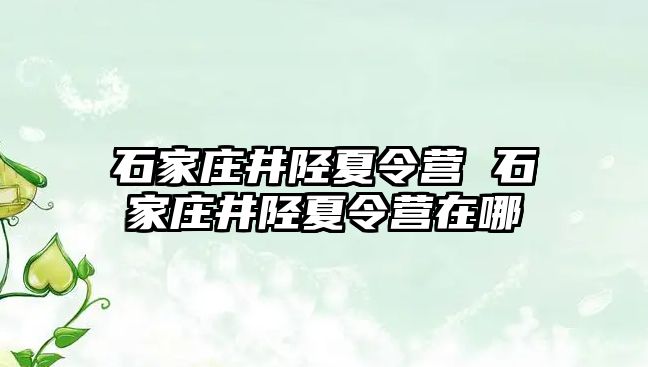 石家莊井陘夏令營 石家莊井陘夏令營在哪