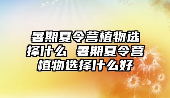 暑期夏令營植物選擇什么 暑期夏令營植物選擇什么好