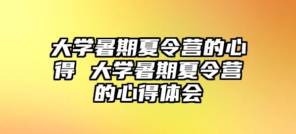大學暑期夏令營的心得 大學暑期夏令營的心得體會