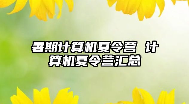 暑期計算機夏令營 計算機夏令營匯總