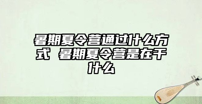 暑期夏令營通過什么方式 暑期夏令營是在干什么