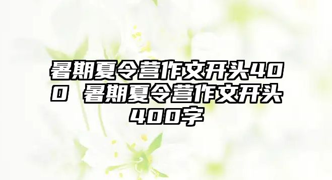 暑期夏令營作文開頭400 暑期夏令營作文開頭400字