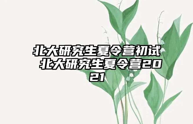 北大研究生夏令營初試 北大研究生夏令營2021
