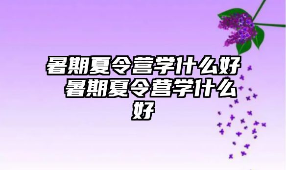 暑期夏令營(yíng)學(xué)什么好 暑期夏令營(yíng)學(xué)什么好