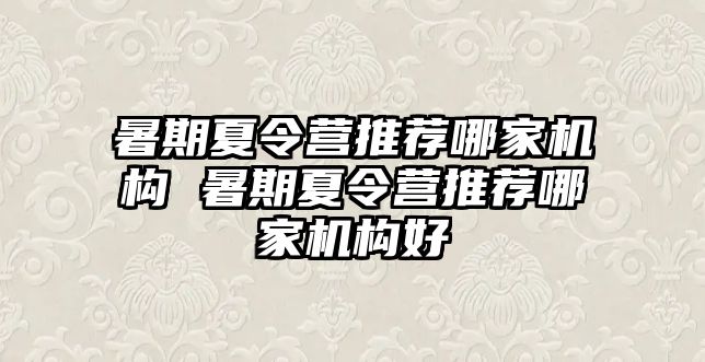 暑期夏令營推薦哪家機構 暑期夏令營推薦哪家機構好