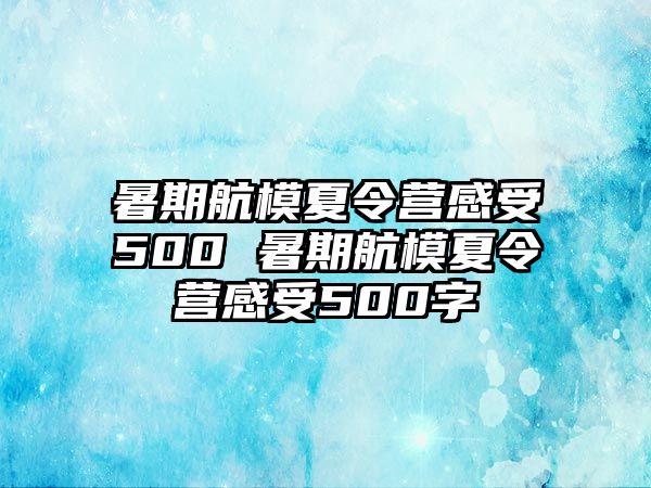 暑期航模夏令營感受500 暑期航模夏令營感受500字