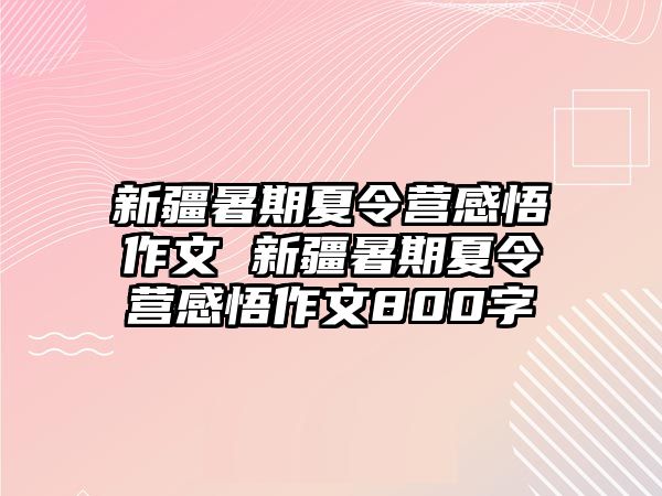 新疆暑期夏令營感悟作文 新疆暑期夏令營感悟作文800字