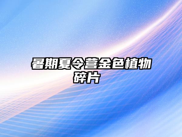 暑期夏令營金色植物碎片 