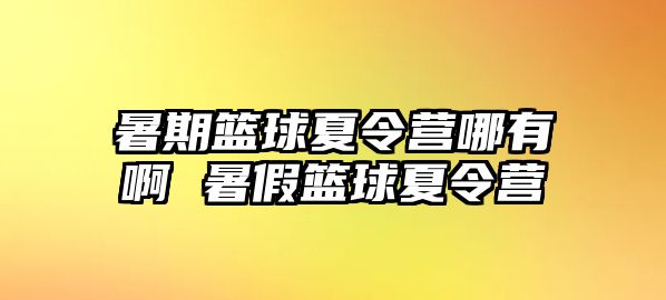 暑期籃球夏令營哪有啊 暑假籃球夏令營