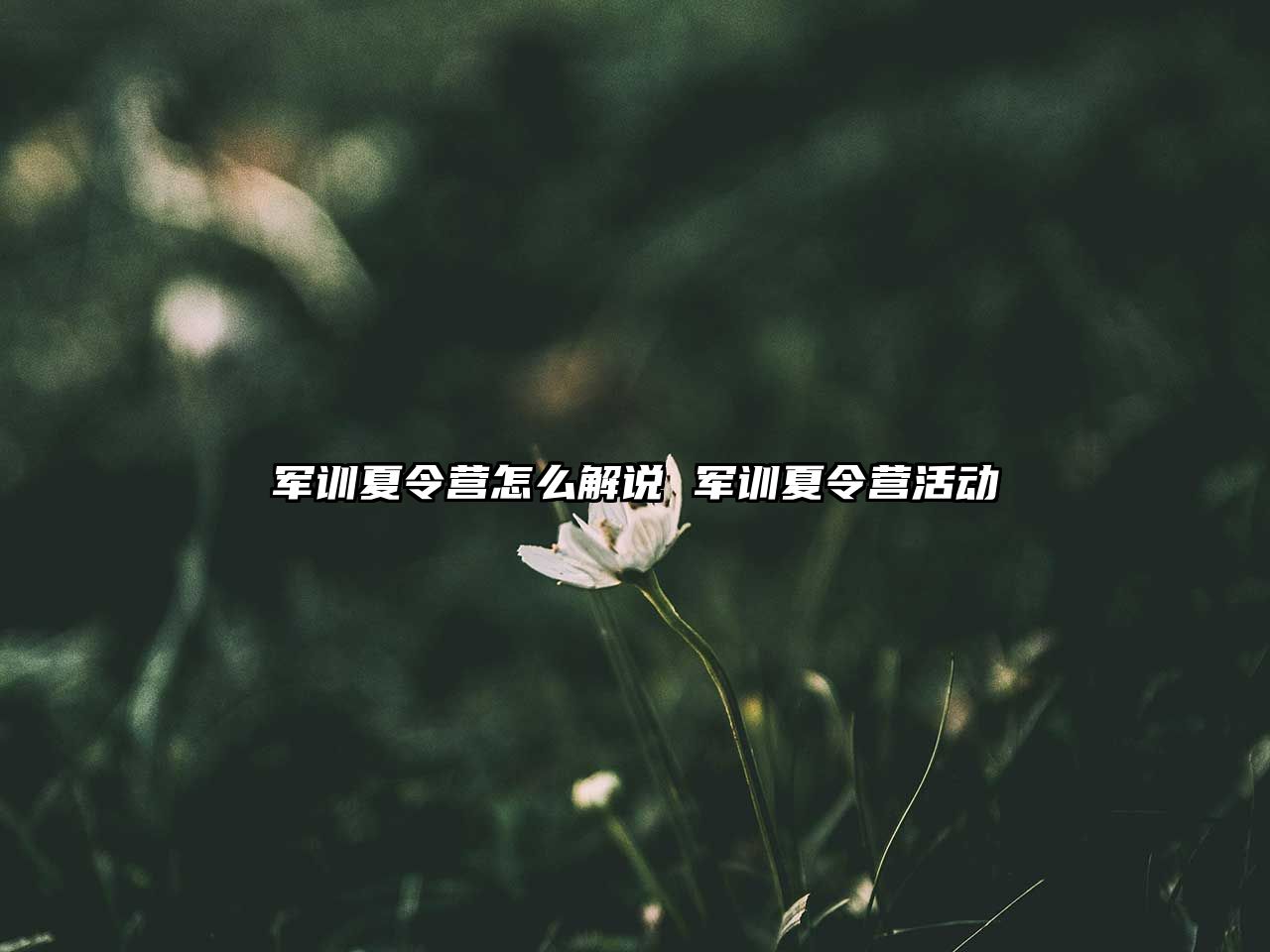 軍訓(xùn)夏令營怎么解說 軍訓(xùn)夏令營活動