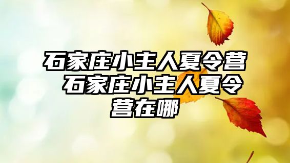 石家莊小主人夏令營 石家莊小主人夏令營在哪