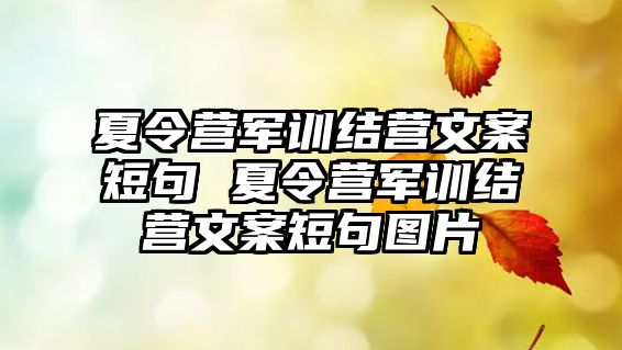 夏令營軍訓結營文案短句 夏令營軍訓結營文案短句圖片