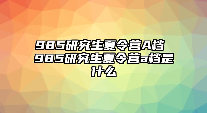 985研究生夏令營A檔 985研究生夏令營a檔是什么