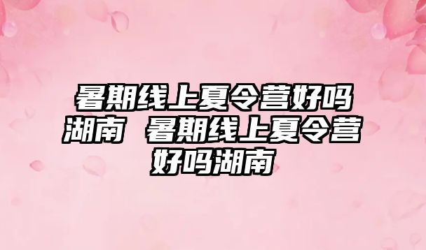 暑期線上夏令營好嗎湖南 暑期線上夏令營好嗎湖南