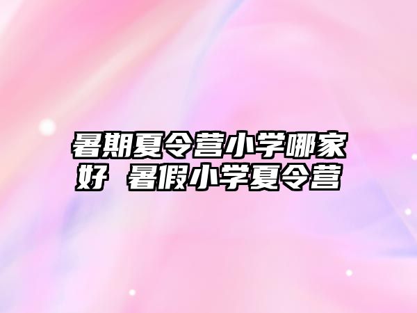 暑期夏令營小學哪家好 暑假小學夏令營
