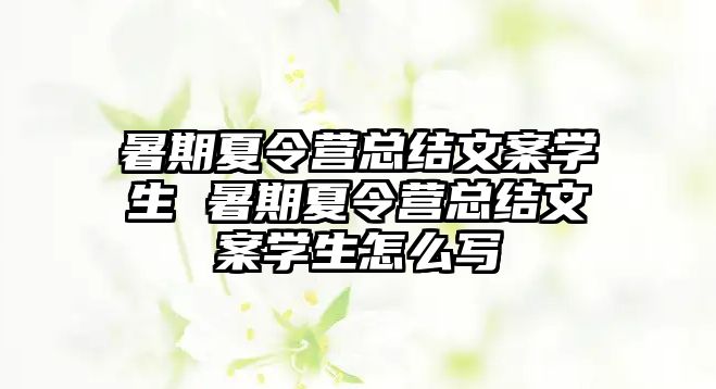 暑期夏令營總結文案學生 暑期夏令營總結文案學生怎么寫