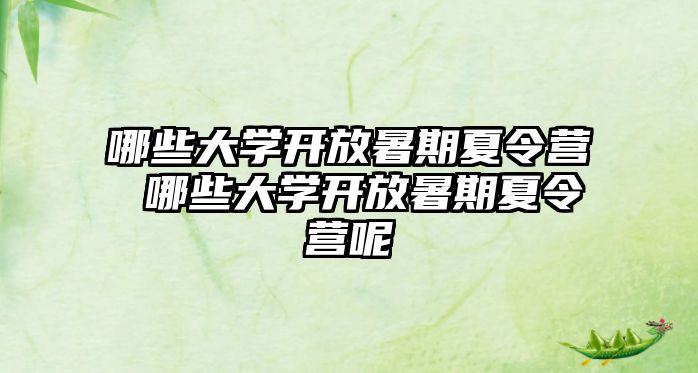 哪些大學開放暑期夏令營 哪些大學開放暑期夏令營呢