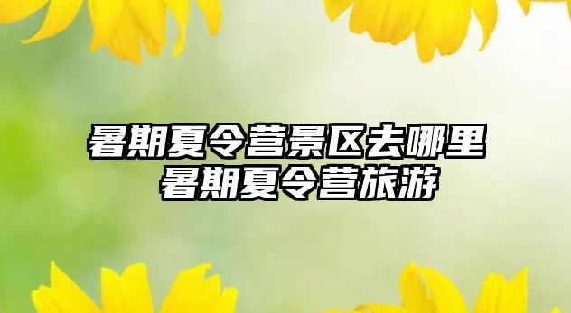 暑期夏令營景區去哪里 暑期夏令營旅游