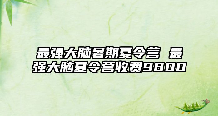 最強大腦暑期夏令營 最強大腦夏令營收費9800
