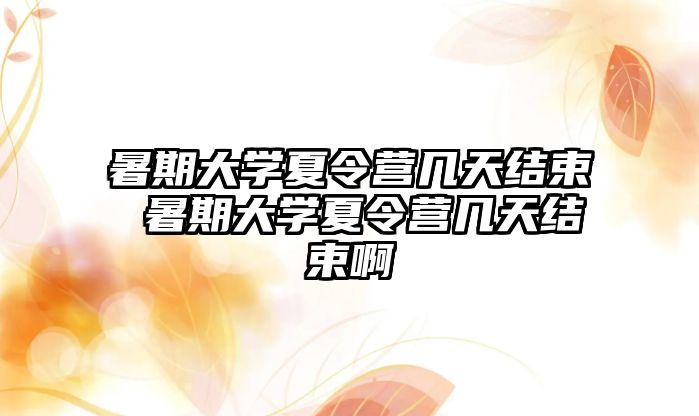 暑期大學夏令營幾天結束 暑期大學夏令營幾天結束啊
