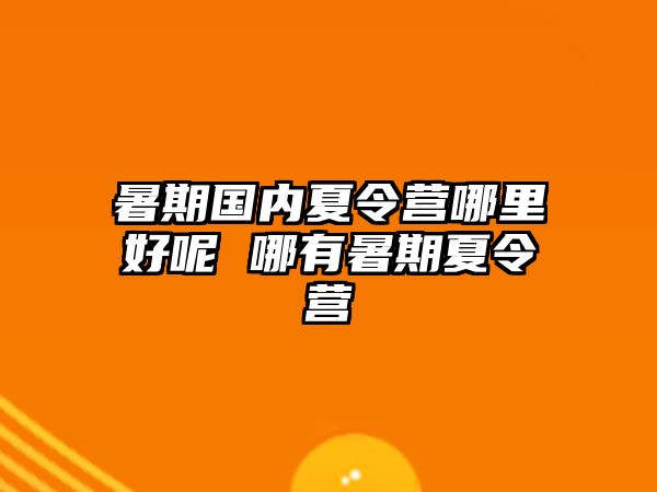 暑期國內夏令營哪里好呢 哪有暑期夏令營