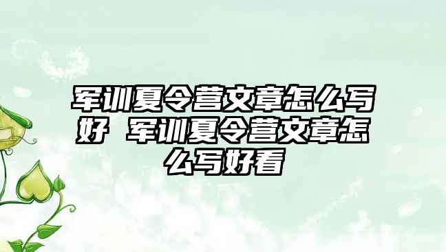 軍訓(xùn)夏令營(yíng)文章怎么寫(xiě)好 軍訓(xùn)夏令營(yíng)文章怎么寫(xiě)好看